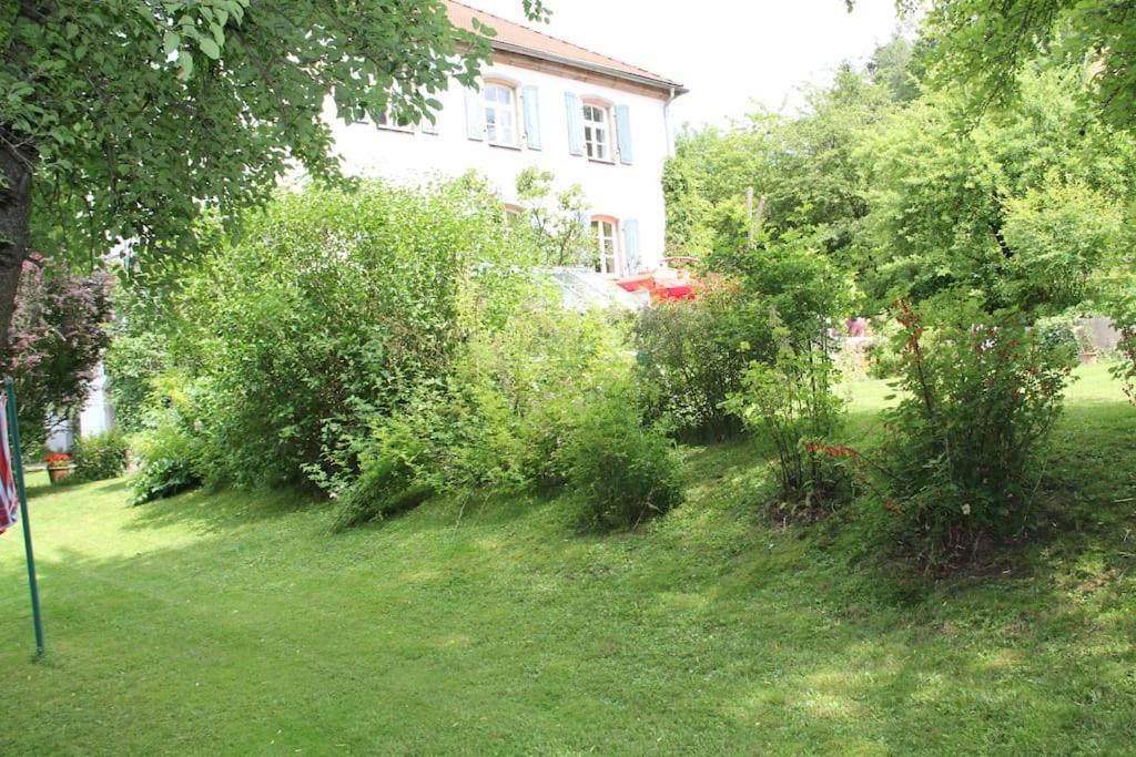 Haus Mit Geschichte In Apartment Mahring